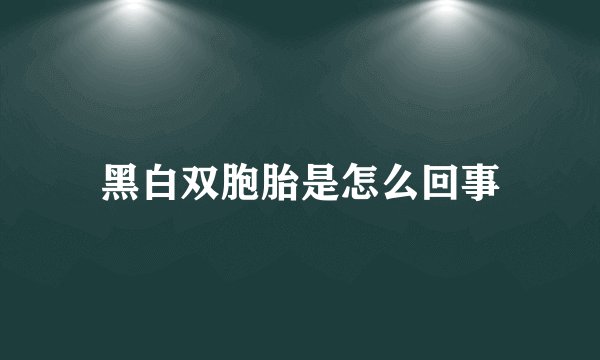 黑白双胞胎是怎么回事