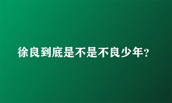 徐良到底是不是不良少年？