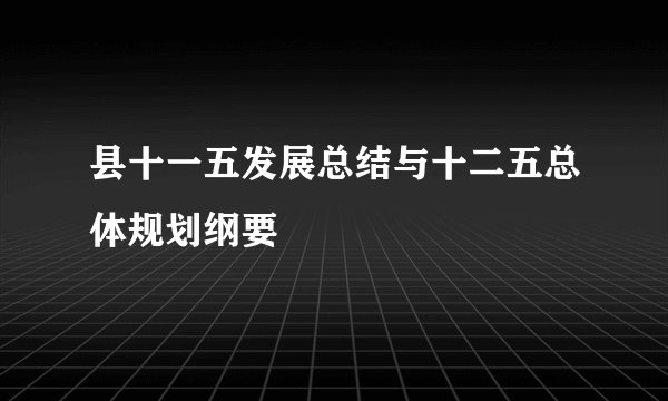 县十一五发展总结与十二五总体规划纲要