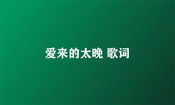 爱来的太晚 歌词