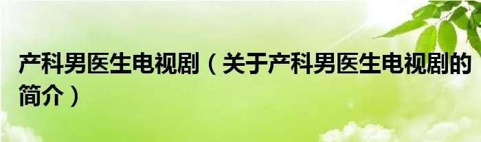 产科男医生电视剧（关于产科男医生电视剧的简介）