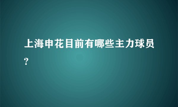 上海申花目前有哪些主力球员?