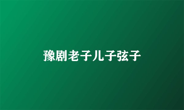 豫剧老子儿子弦子