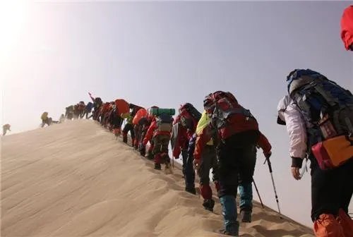 沙漠里遍地都是西瓜,为什么没人敢吃?它是什么东西?