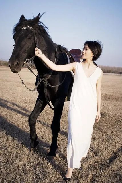 龙飘飘经典老歌50首