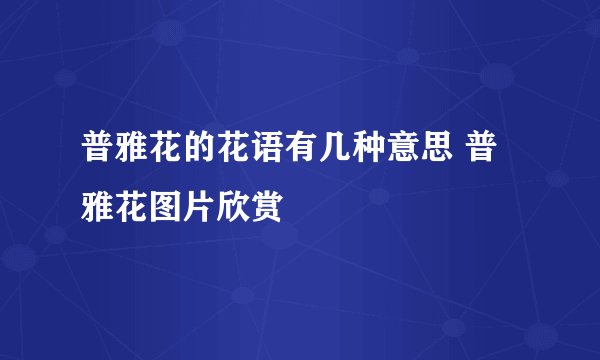 普雅花的花语有几种意思 普雅花图片欣赏