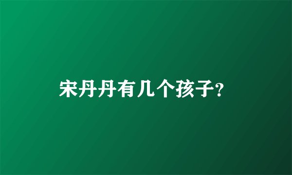 宋丹丹有几个孩子？