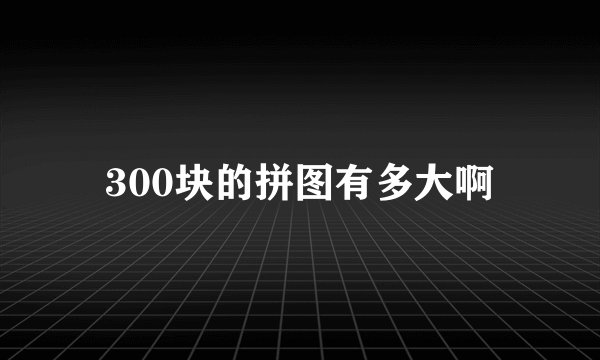 300块的拼图有多大啊