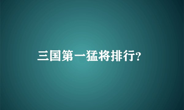 三国第一猛将排行？