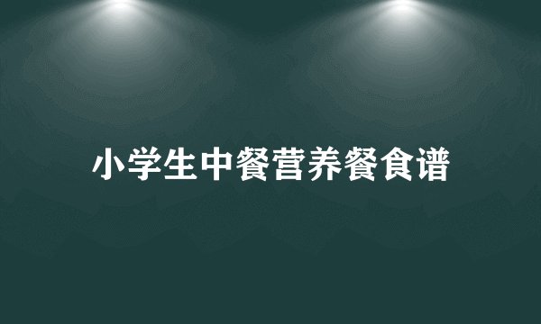 小学生中餐营养餐食谱