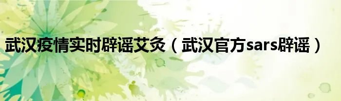 武汉疫情实时辟谣艾灸（武汉官方sars辟谣）