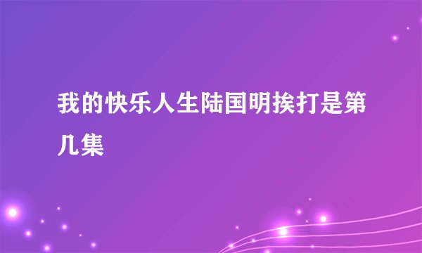 我的快乐人生陆国明挨打是第几集