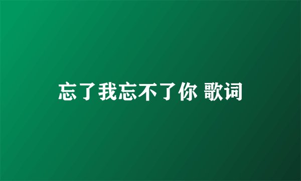 忘了我忘不了你 歌词