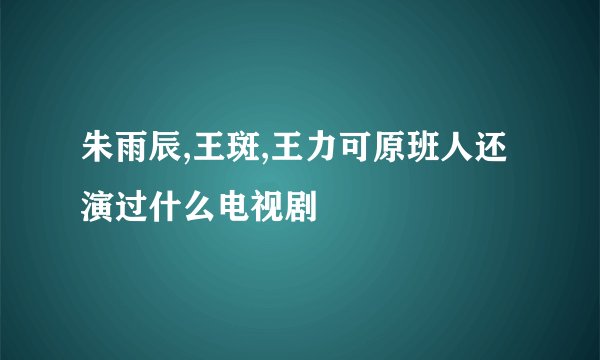 朱雨辰,王斑,王力可原班人还演过什么电视剧