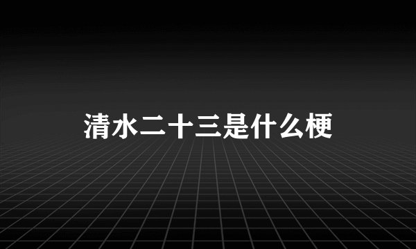 清水二十三是什么梗