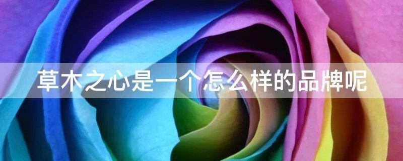 草木之心是一个怎么样的品牌呢