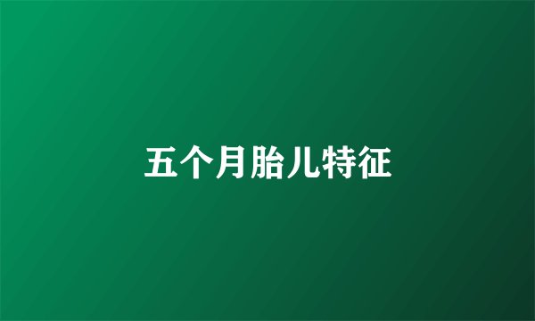 五个月胎儿特征