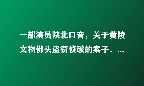 一部演员陕北口音，关于黄陵文物佛头盗窃侦破的案子，很早的一部电视剧了，应该是98年到00年左右？
