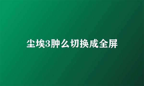 尘埃3肿么切换成全屏