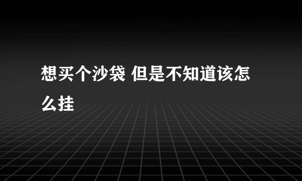 想买个沙袋 但是不知道该怎么挂