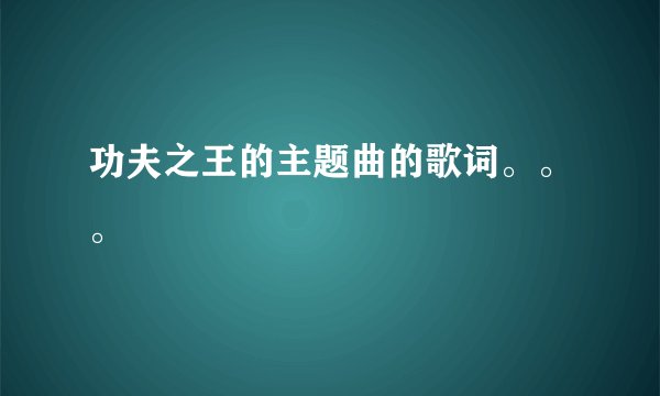功夫之王的主题曲的歌词。。。