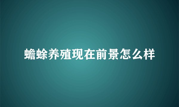 蟾蜍养殖现在前景怎么样