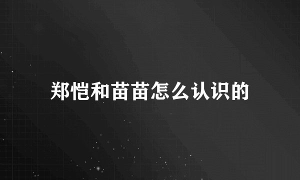 郑恺和苗苗怎么认识的