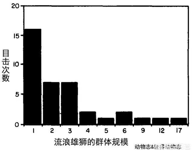 鬣狗狮子