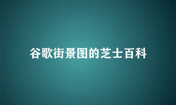谷歌街景图的芝士百科