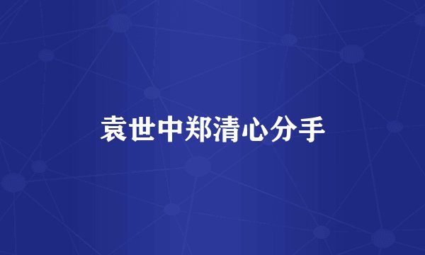 袁世中郑清心分手